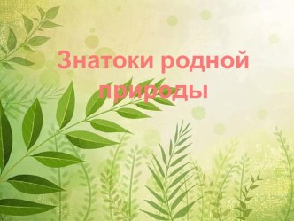 Интелектуальная игра Знатоки родной природы план-конспект занятия (1 класс) по теме