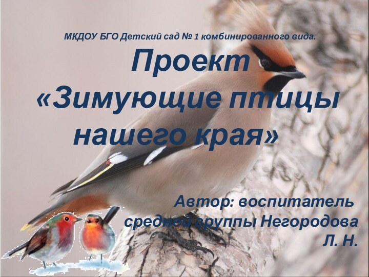 МКДОУ БГО Детский сад № 1 комбинированного вида. Проект «Зимующие птицы		нашего края»