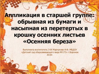 Презентация : Аппликация в старшей группе:обрывная из бумаги и насыпная из перетертых в крошку осенних листьев Осенняя береза презентация к уроку по аппликации, лепке (старшая группа)