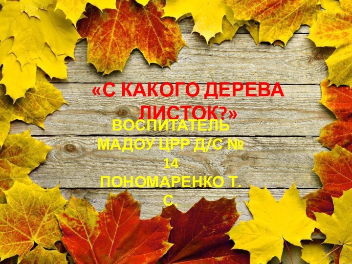 «С КАКОГО ДЕРЕВА ЛИСТОК?»ВОСПИТАТЕЛЬМАДОУ ЦРР Д/С № 14ПОНОМАРЕНКО Т.С.