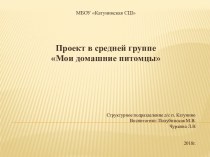 презентация по проекту презентация к уроку (средняя группа)