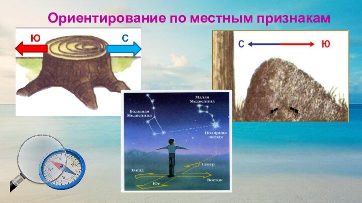 Ориентирование по местным признакам