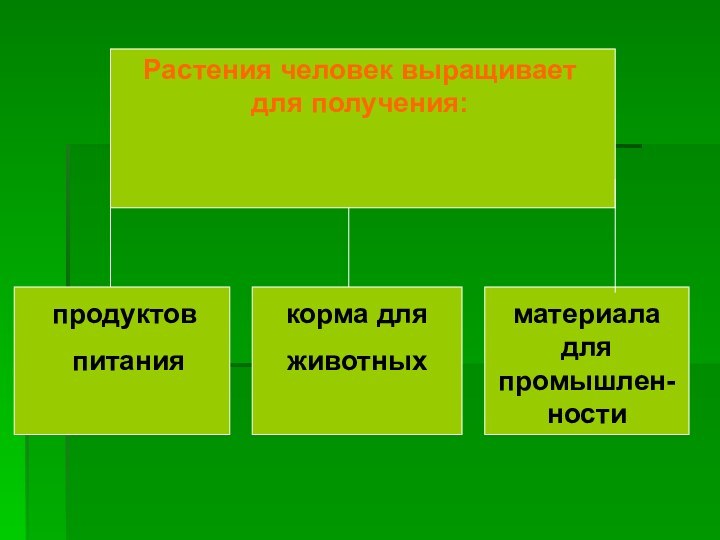 Растения человек выращивает для получения:продуктов питаниякорма дляживотныхматериала для промышлен-ности