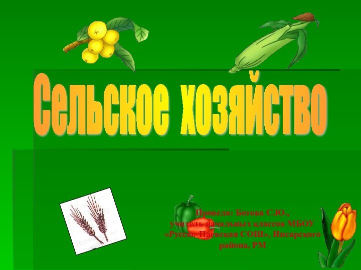 Сельское хозяйство Провела: Ботова С.Ю.,учитель начальных классов МБОУ «Русско-Паевская СОШ», Инсарского района, РМ