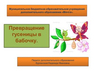 Превращение гусеницы в бабочку. презентация к уроку по окружающему миру (старшая группа)