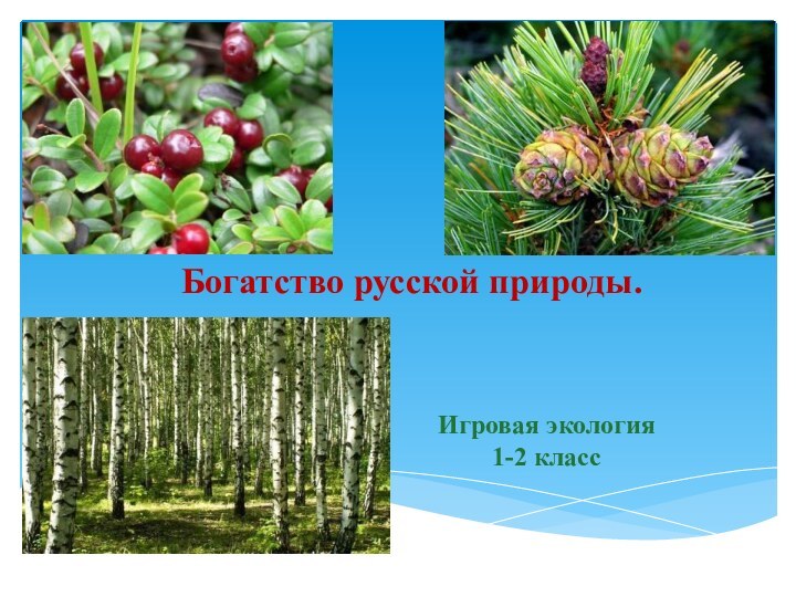 Богатство русской природы.Игровая экология 1-2 класс