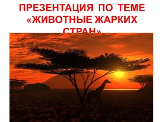 методическая разработка Животные жарких стран методическая разработка