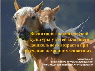 Воспитание экологической культуры у детей младшего дошкольного возраста при изучении домашних животных презентация к уроку (младшая группа)