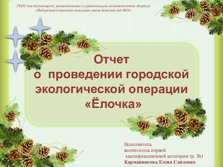 ГБОУ для обучающихся, воспитанников с ограниченными возможностями здоровья «Набережночелнинская начальная школа-детский сад