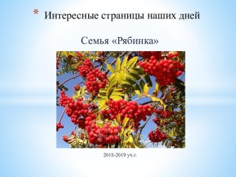 СЕМЬЯ РЯБИНКА Итоговое собрание семьи 2018-19 уч.г. классный час