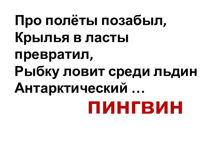 Про полёты позабыл, Крылья в ласты превратил, Рыбку ловит среди льдин Антарктический …пингвин