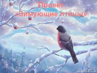 Проект Зимующие птицы проект (средняя группа)