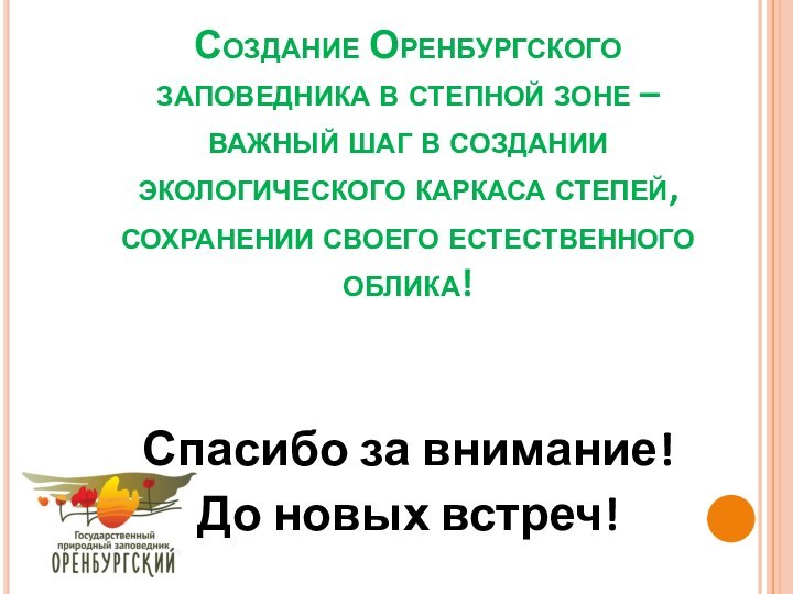 Создание Оренбургского заповедника в степной зоне – важный шаг в создании экологического