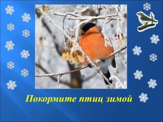 Покормите птиц зимой презентация к уроку по окружающему миру (подготовительная группа)