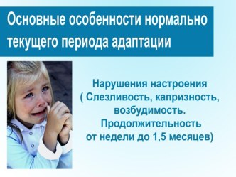 Основные особенности периода адаптации в ДОУ презентация к занятию (младшая группа) по теме