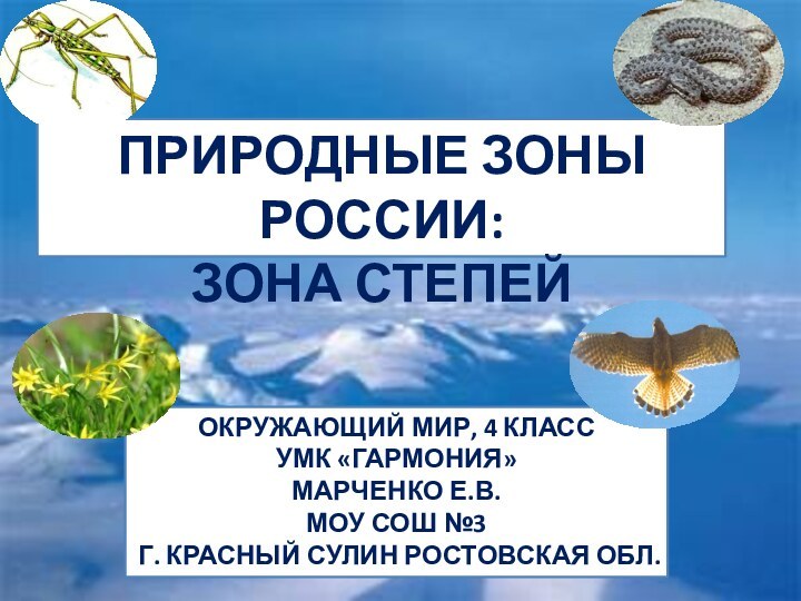 ПРИРОДНЫЕ ЗОНЫ РОССИИ:ЗОНА СТЕПЕЙОКРУЖАЮЩИЙ МИР, 4 КЛАССУМК «ГАРМОНИЯ»МАРЧЕНКО Е.В.МОУ СОШ №3Г. КРАСНЫЙ СУЛИН РОСТОВСКАЯ ОБЛ.