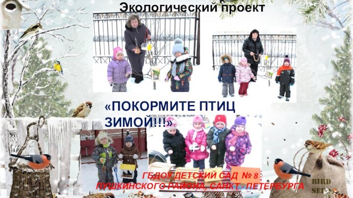 «Покормите птиц зимой!!!»Экологический проектГБДОУ детский сад № 8 Пушкинского района, Санкт - Петербурга
