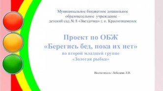 Проект по ОБЖ Берегись бед, пока их нет во второй младшей группе Золотая рыбка презентация к уроку (младшая группа) по теме