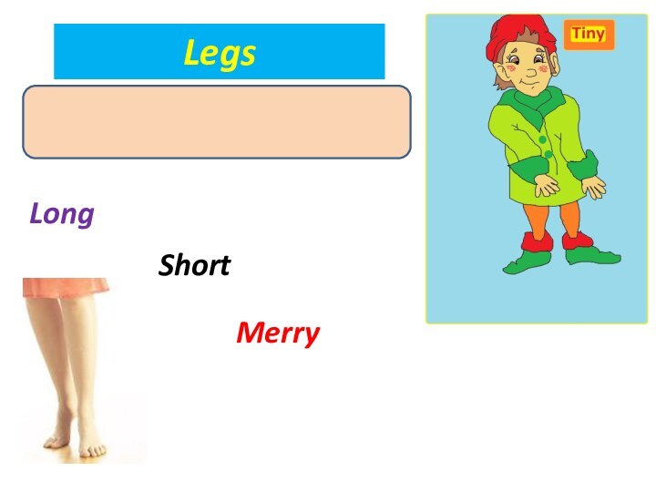 LegsLongShortMerry