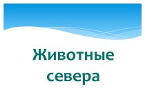 Животные севера презентация к уроку (старшая группа)