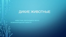 Презентация Дикие животные презентация к уроку по окружающему миру (средняя группа)