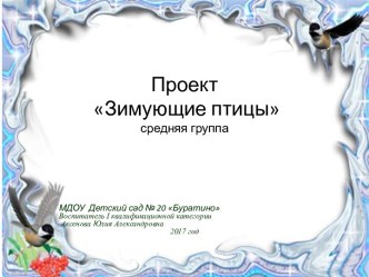 Проект Зимующие птицы проект по окружающему миру (средняя группа)