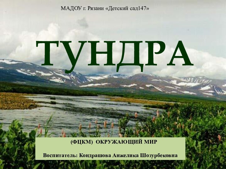 МАДОУ г. Рязани «Детский сад147»   (ФЦКМ) ОКРУЖАЮЩИЙ МИРВоспитатель: Кондрашова Анжелика ШозурбековнаТУНДРА