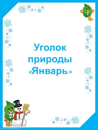 Уголок природы. Январь презентация по окружающему миру