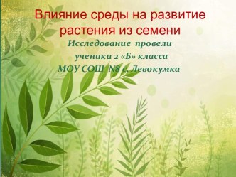 Исследовательский проект уч-ся 2класса Влияние среды на развитие растения из семени творческая работа учащихся по окружающему миру (2 класс) по теме