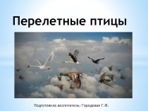 Перелетные птицы презентация к уроку по окружающему миру (старшая группа)