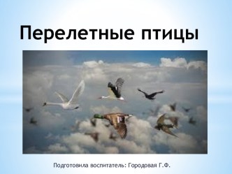 Перелетные птицы презентация к уроку по окружающему миру (старшая группа)