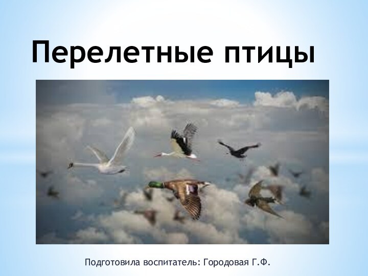 Перелетные птицыПодготовила воспитатель: Городовая Г.Ф.