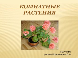 Комнатные растения презентация к уроку по окружающему миру (2 класс) по теме