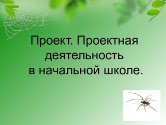 Проект.Проектная деятельность в начальной школе. проект (2 класс)