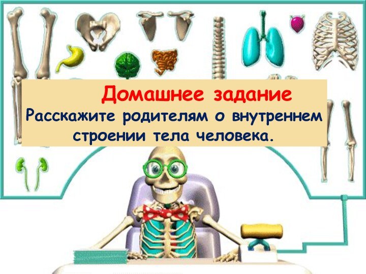 Домашнее заданиеРасскажите родителям о внутреннем строении тела человека.