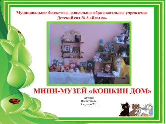 Презентация: паспорт Мини-музея кошек презентация к занятию (младшая группа) по теме