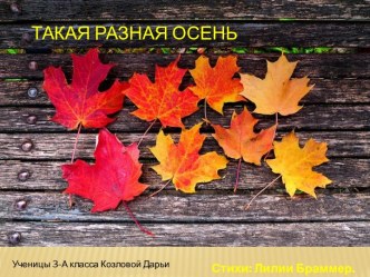 Разная осень презентация к уроку по окружающему миру (3 класс)