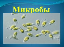 Презентация для ННОД по образовательной области Здоровье презентация к занятию (старшая группа)