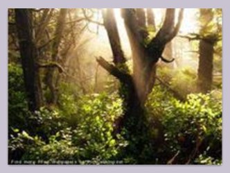 Технологическая карта внеурочного занятия презентация к уроку