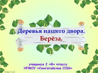 Проект Деревья нашего двора