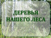 презентация по экологии деревья нашего леса презентация к уроку (старшая группа)