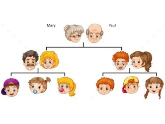 Упражнения на отработку материала по теме Семья 4 класс. учебно-методический материал по иностранному языку (4 класс) по теме