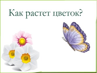 Презентация Как растёт цветок? презентация к уроку по окружающему миру (старшая группа)