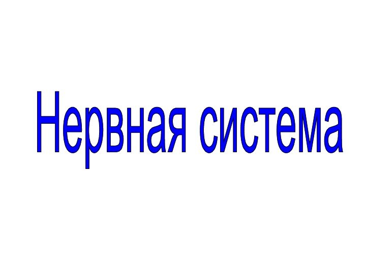 Нервная система