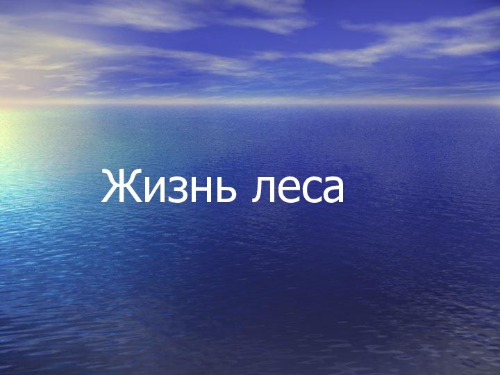 Жизнь леса