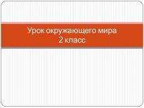 Презентация Чистота-залог здоровья. презентация к уроку по окружающему миру (2 класс) по теме