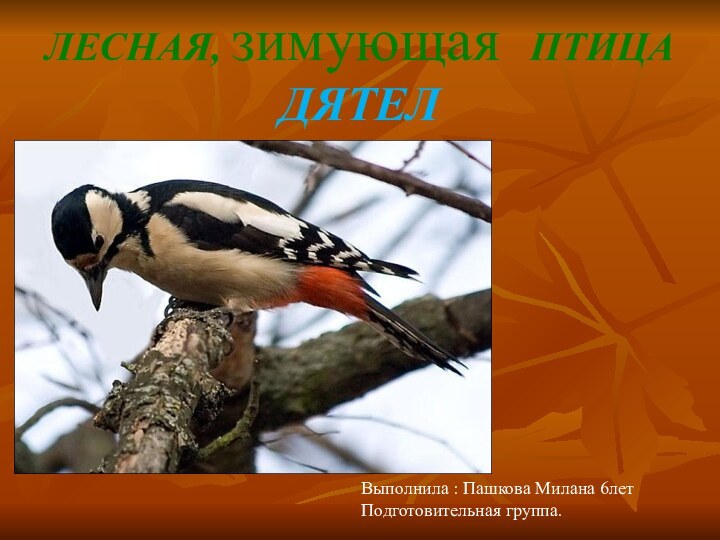 ЛЕСНАЯ, зимующая ПТИЦА ДЯТЕЛВыполнила : Пашкова Милана 6летПодготовительная группа.