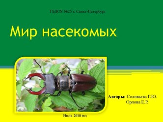 Мир насекомых презентация к уроку по окружающему миру (старшая группа) по теме