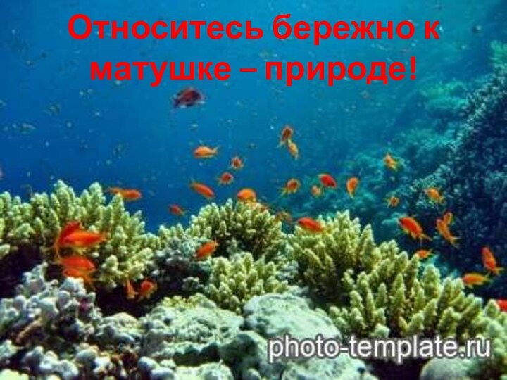 Относитесь бережно к матушке – природе!