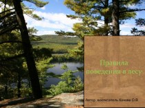 Правила поведения в лесу презентация к уроку по окружающему миру (подготовительная группа)